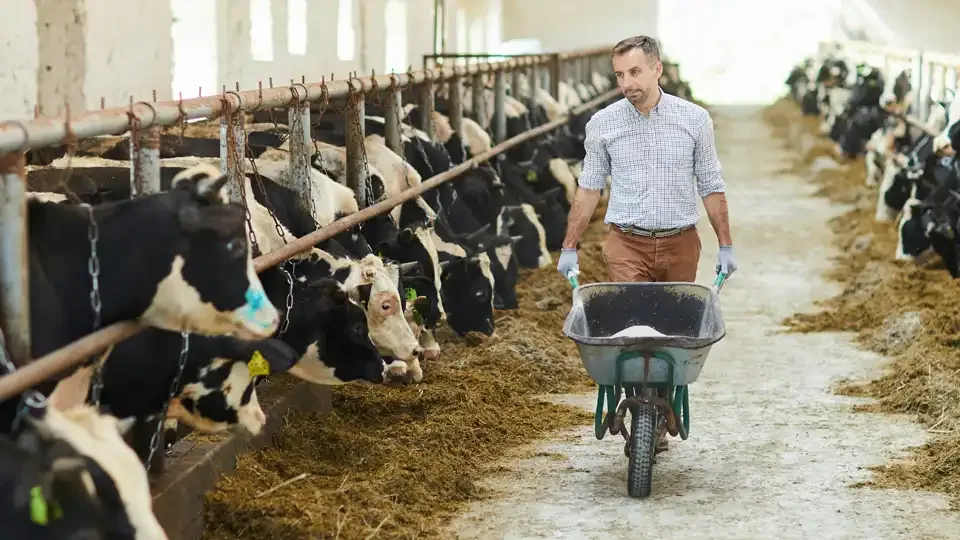 Maschinenring Biberach-Ehingen e.V. – 2 Tierfütterer eingestellt